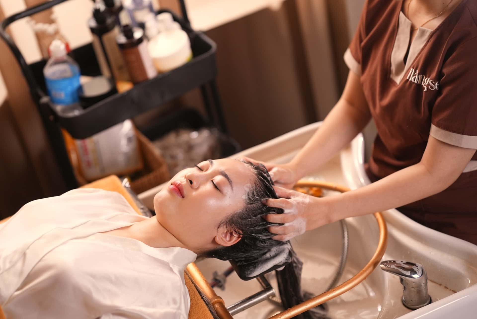 Gội dưỡng sinh cơ bản