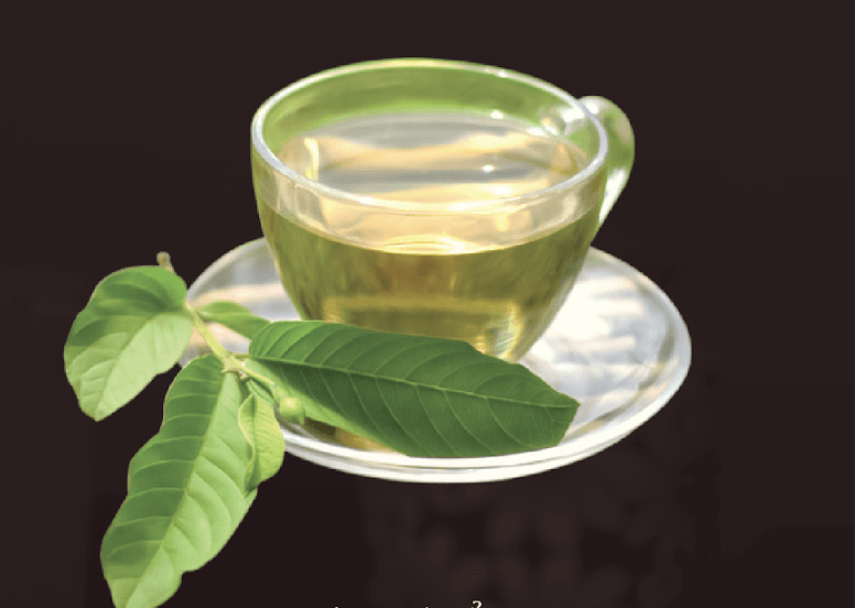 Guava Leaf Tea